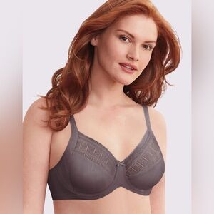 NWT - 38C - Lilyette